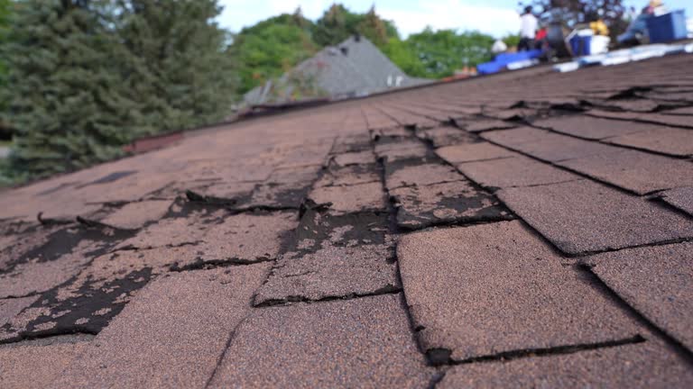 Best Roof Maintenance and Cleaning  in Masonville, KY